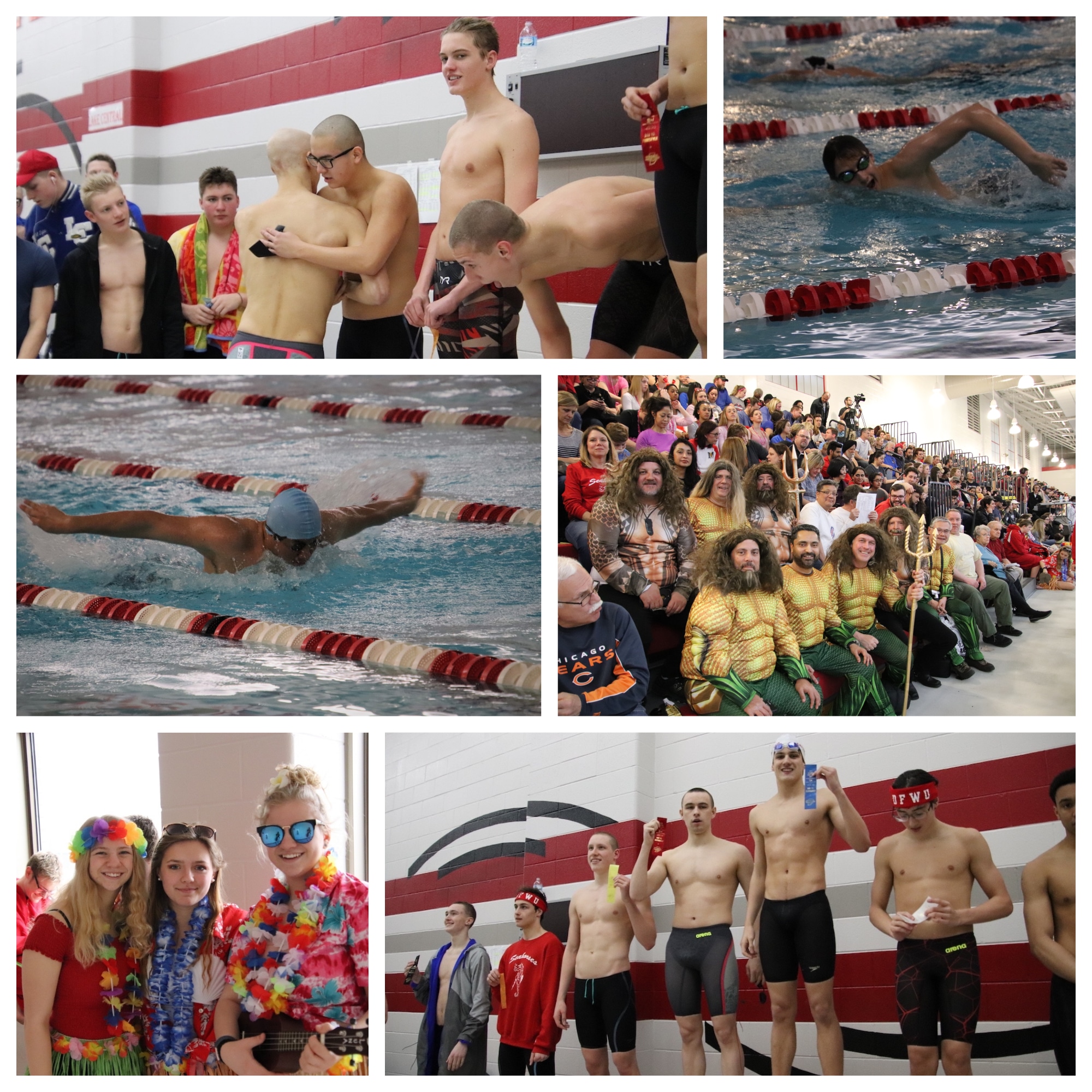 Student Athletes Demonstrate their Tenacity at IHSAA Boys 2019 Munster Sectional Swimming & Diving Finals