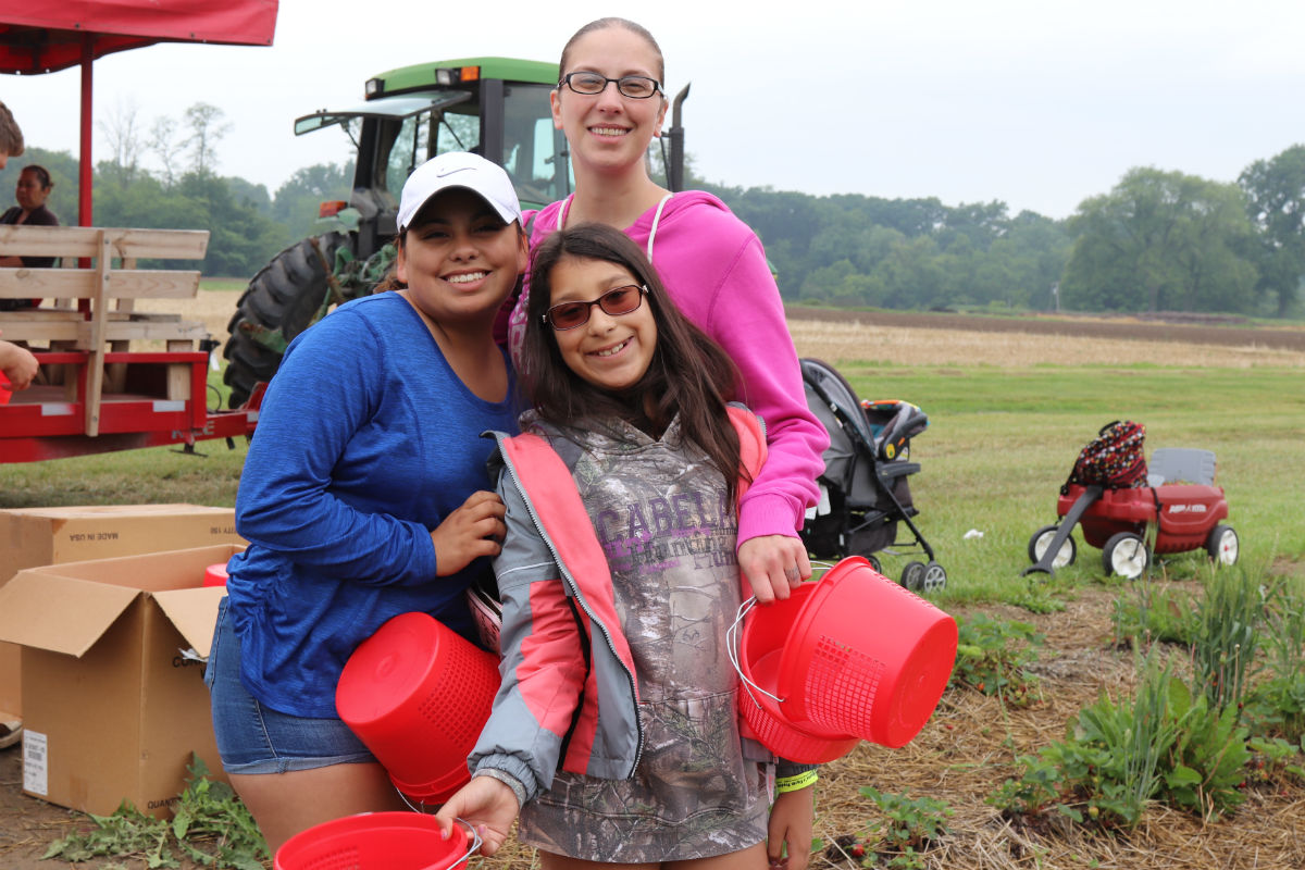 A Little Rain Makes for Better Picking at Johnson’s Farm 20th Annual Strawberry Festival