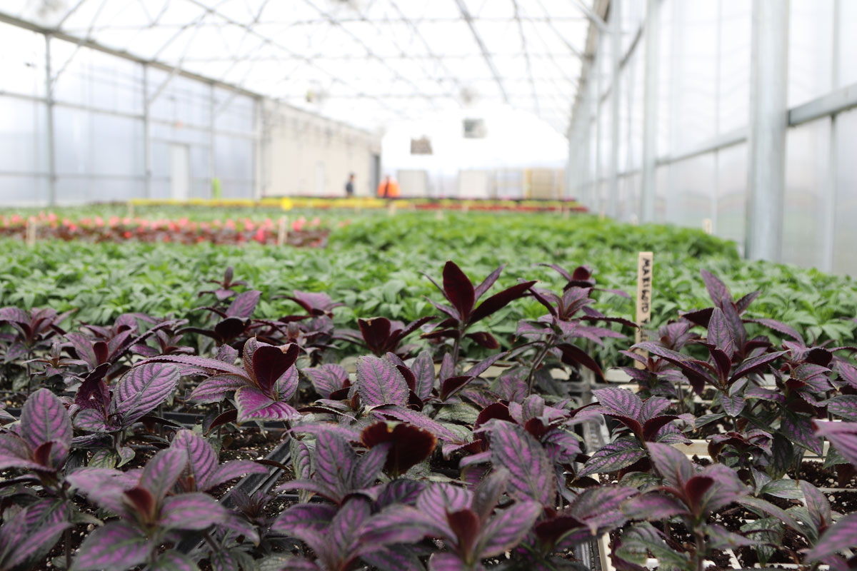 Valpo Parks Celebrates Their New Clifford Property Horticulture Complex