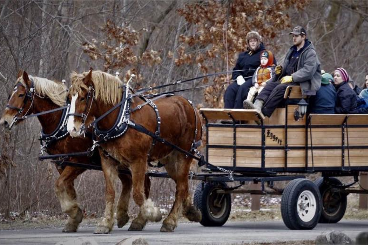 The City of La Porte Says Good-bye to the Winter Blues at Annual Winterfest